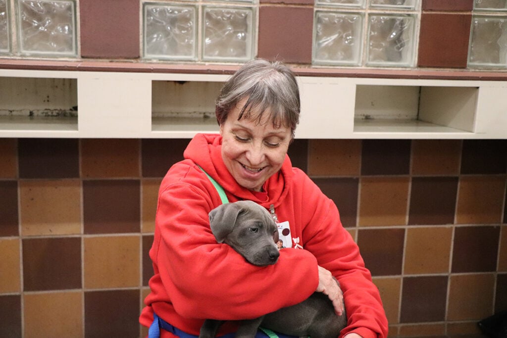 volunteer-month-jossie-oneill-041023b