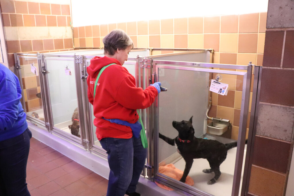 volunteer-month-jossie-oneill-041023d