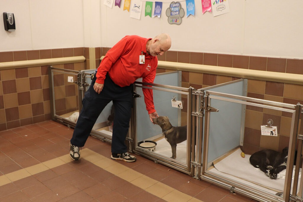volunteer-month-tom-audette-040323d a man petting a dog in a cage