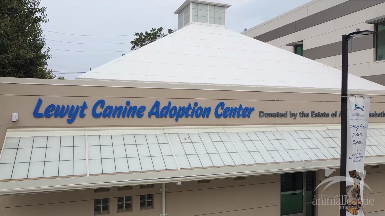 Alex and Elisabeth Lewyt Canine Adoption Center