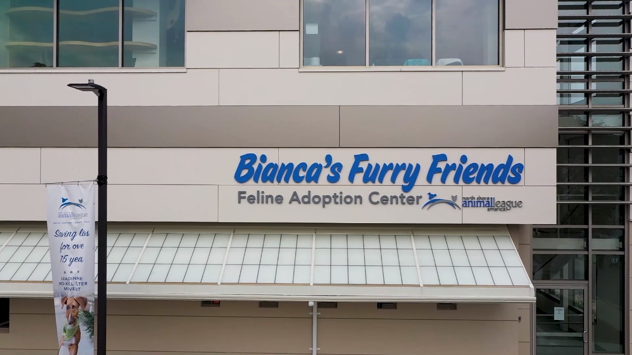Bianca’s Furry Friends Feline Adoption Center