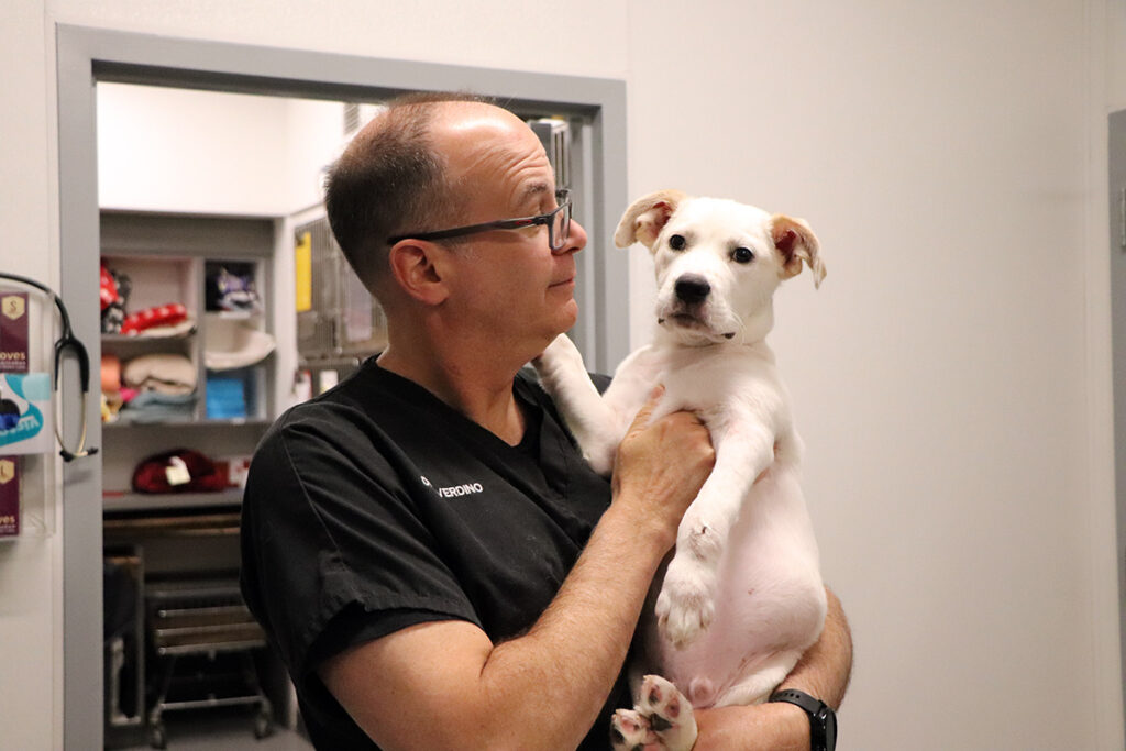 a man holding a white dog