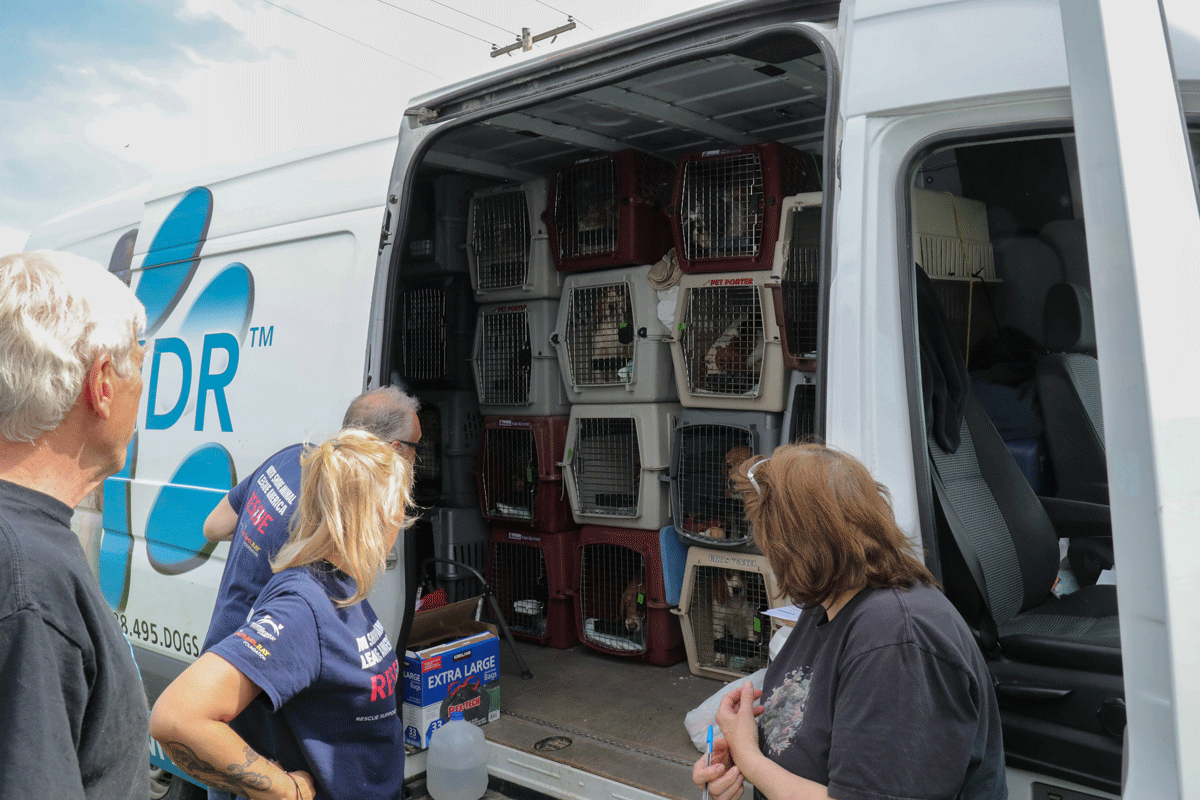 a group of people loading crates into a van