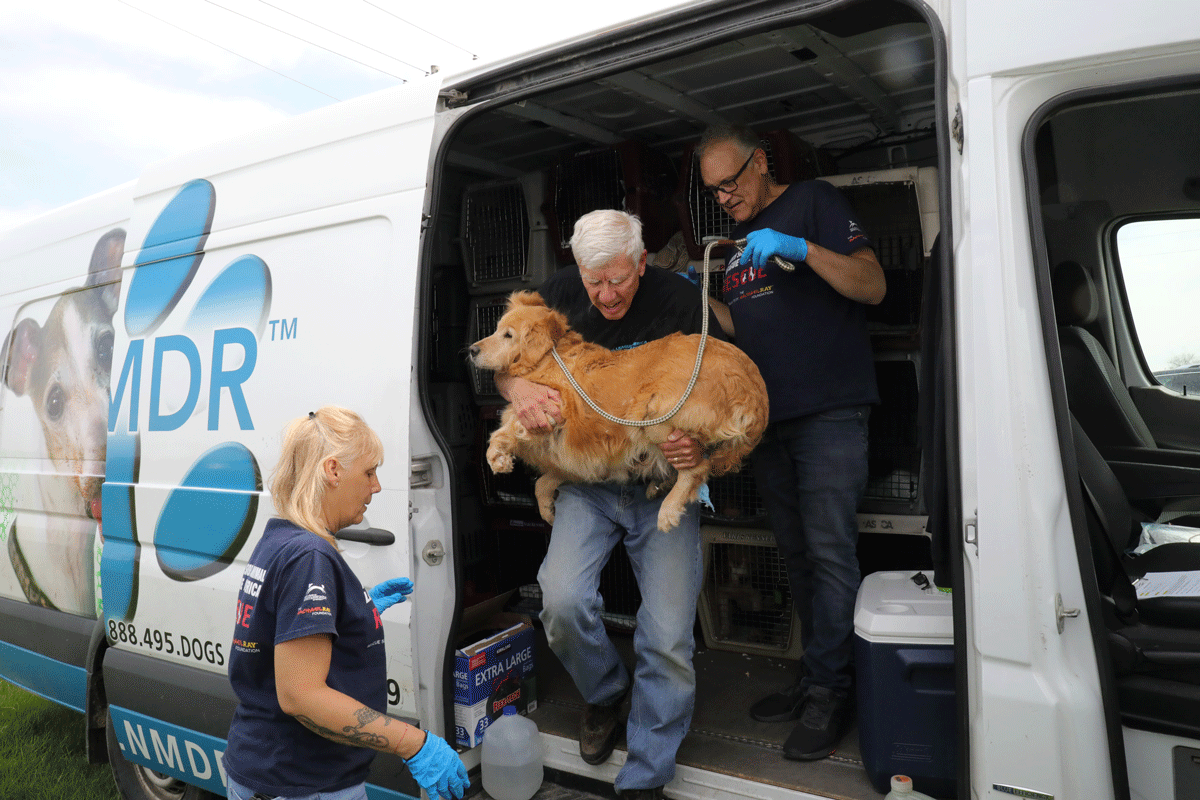 a man carrying a dog in the back of a van