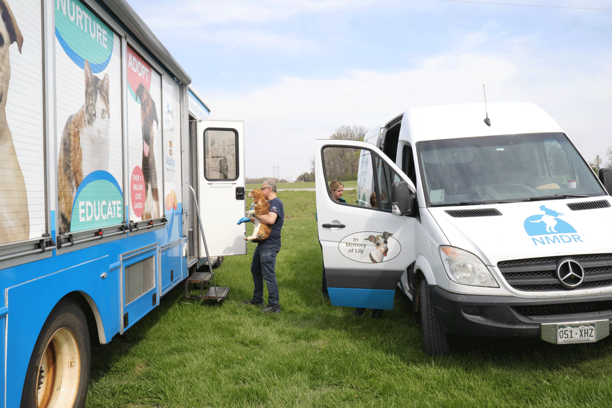 a man and a dog standing next to a van