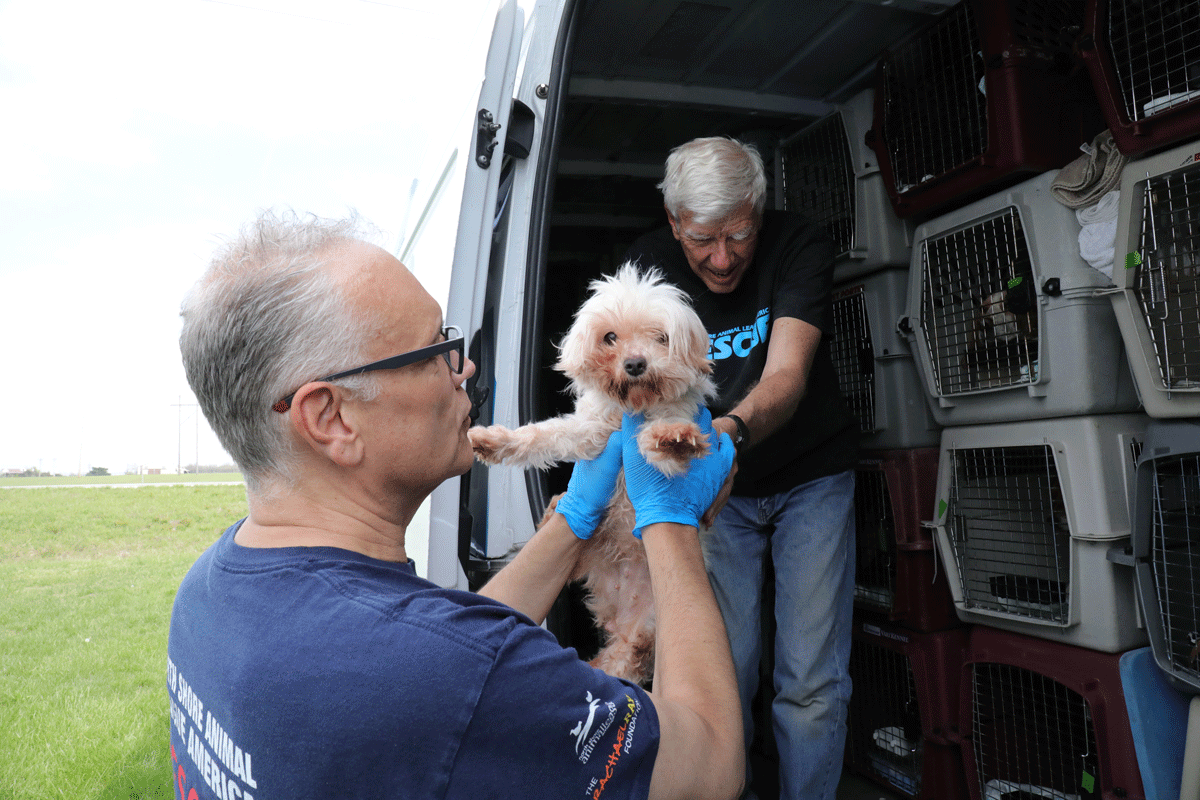 a man holding a dog in a van