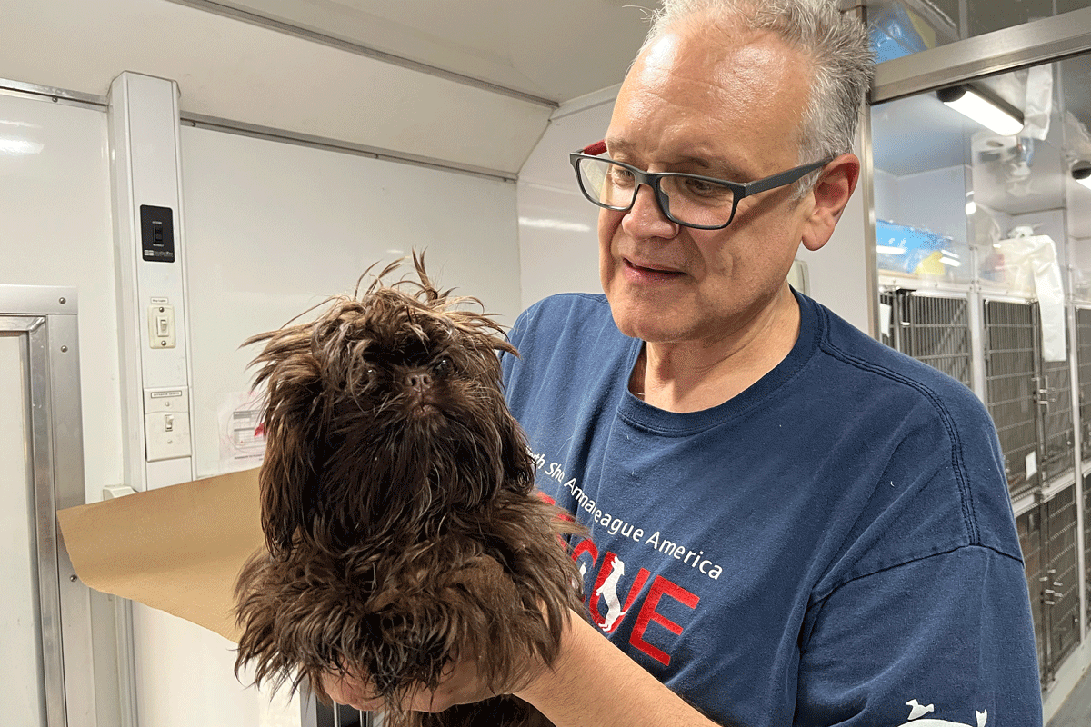 a man holding a dog