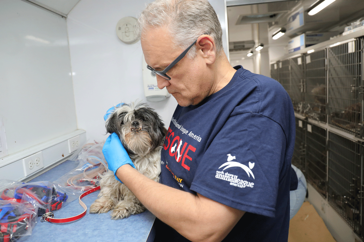 a man holding a dog