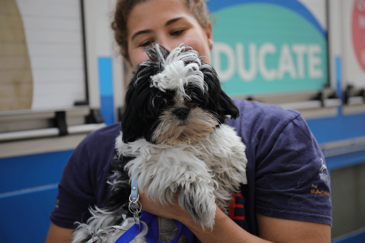 a woman holding a dog