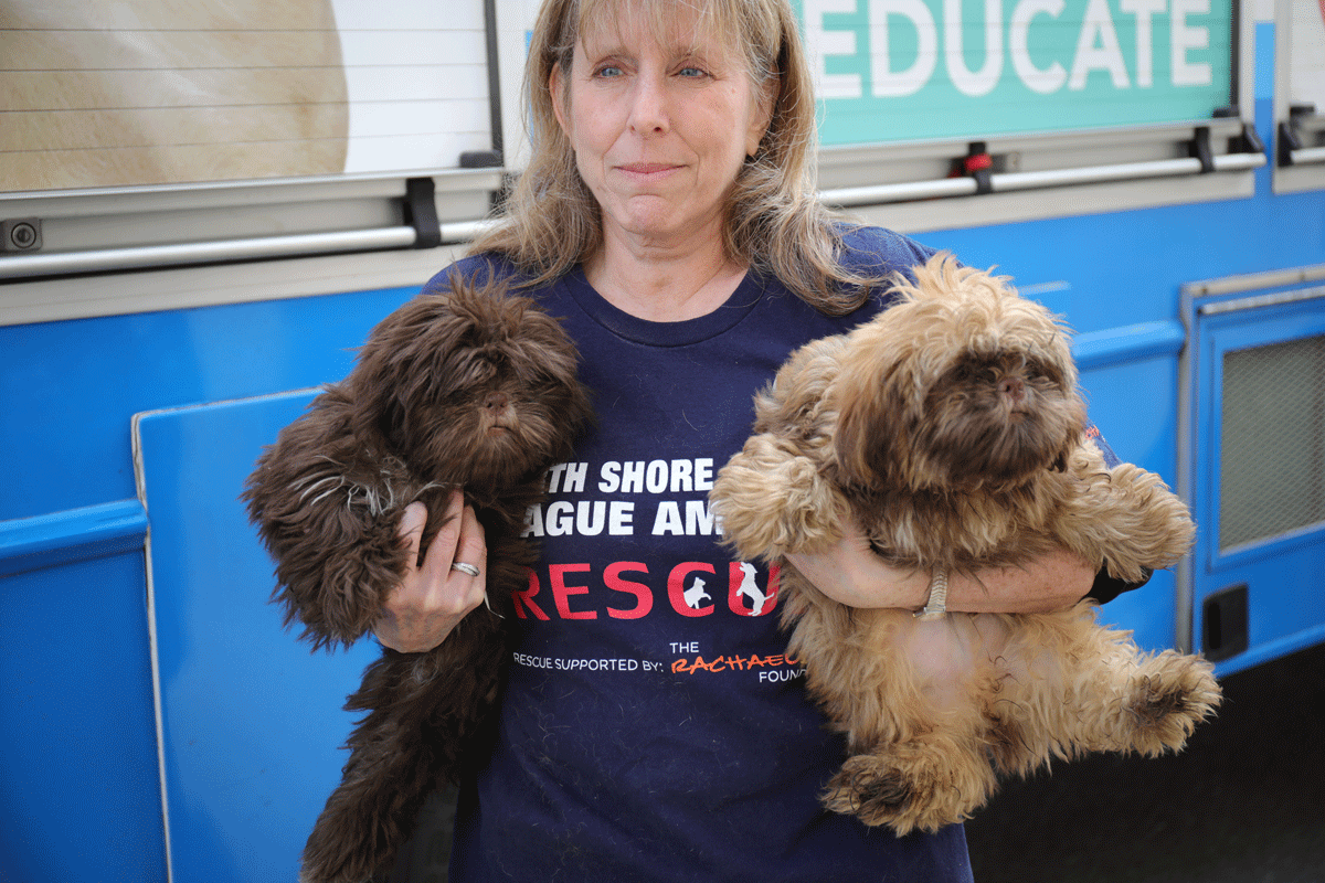a woman holding two dogs