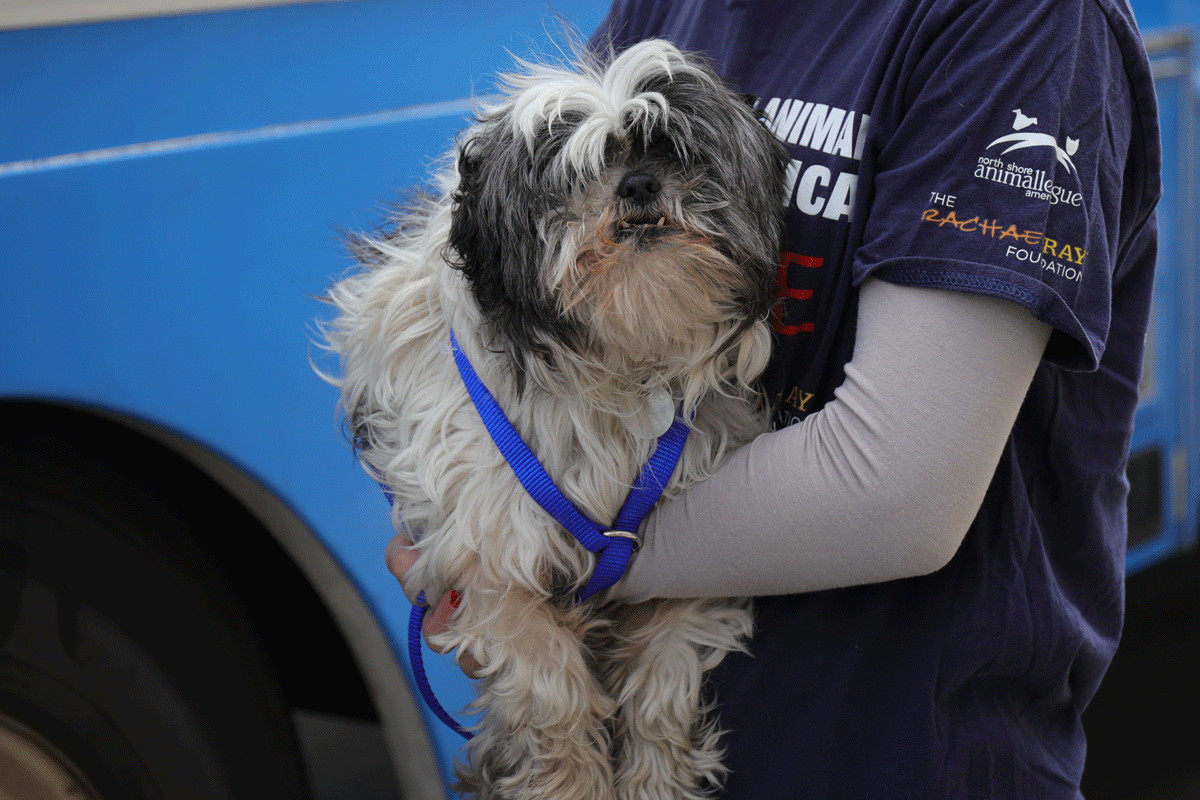 a person holding a dog