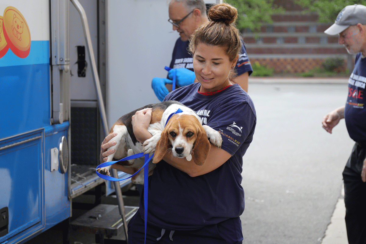 a woman holding a dog
