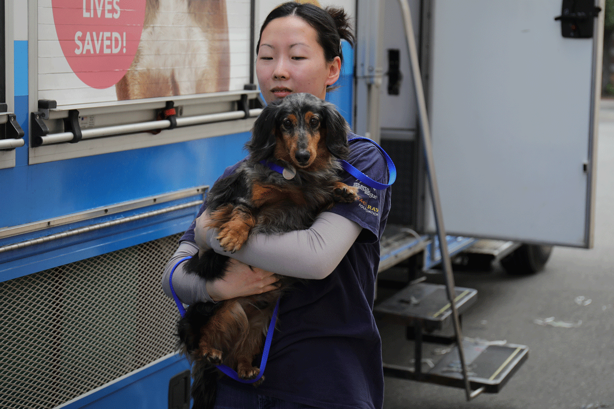 a woman holding a dog