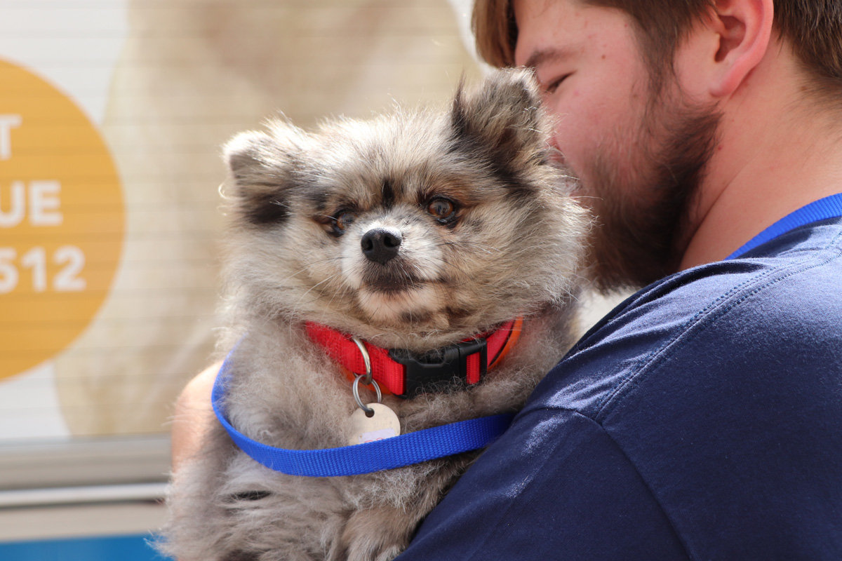 a man holding a dog