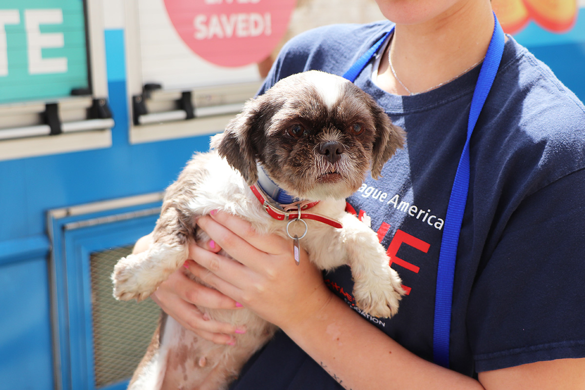 a person holding a dog