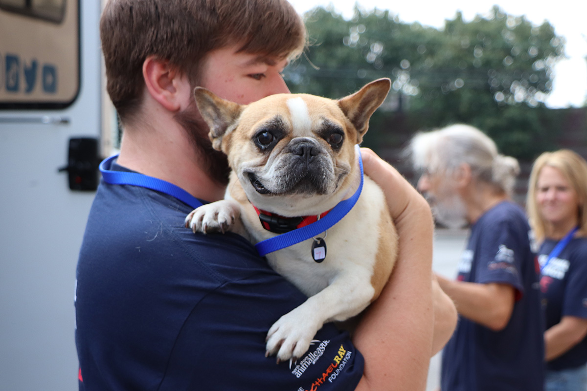 a man holding a dog