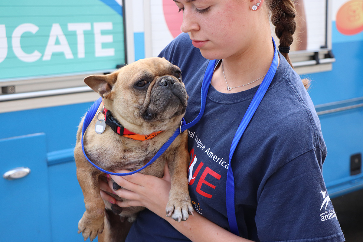 a woman holding a dog