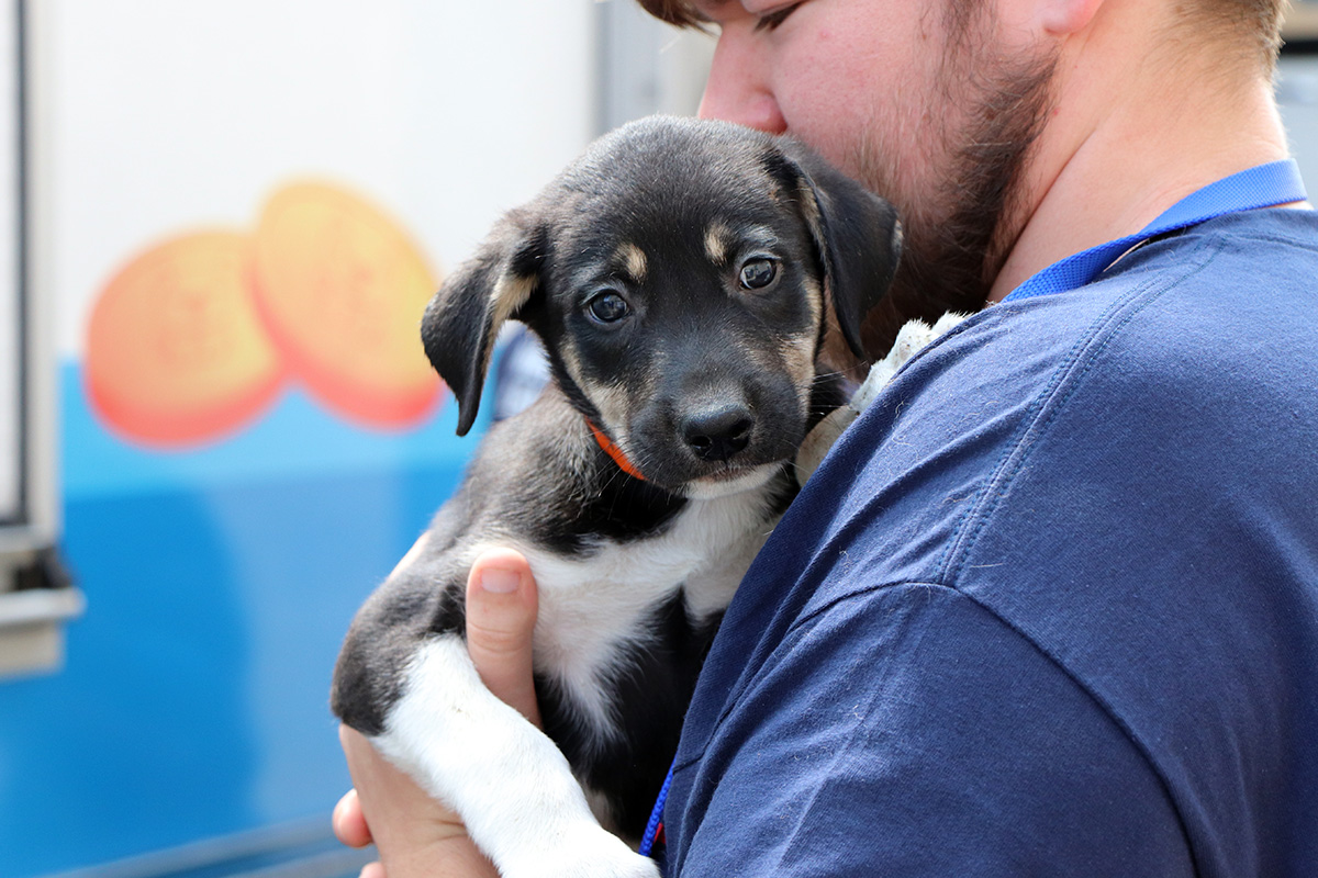 a man holding a puppy