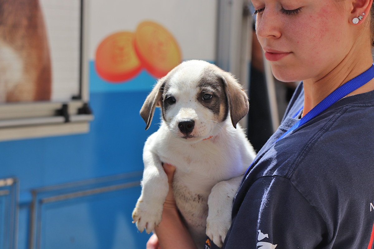 a person holding a puppy