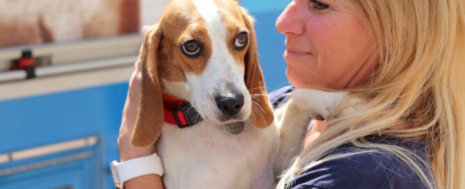 a woman holding a dog