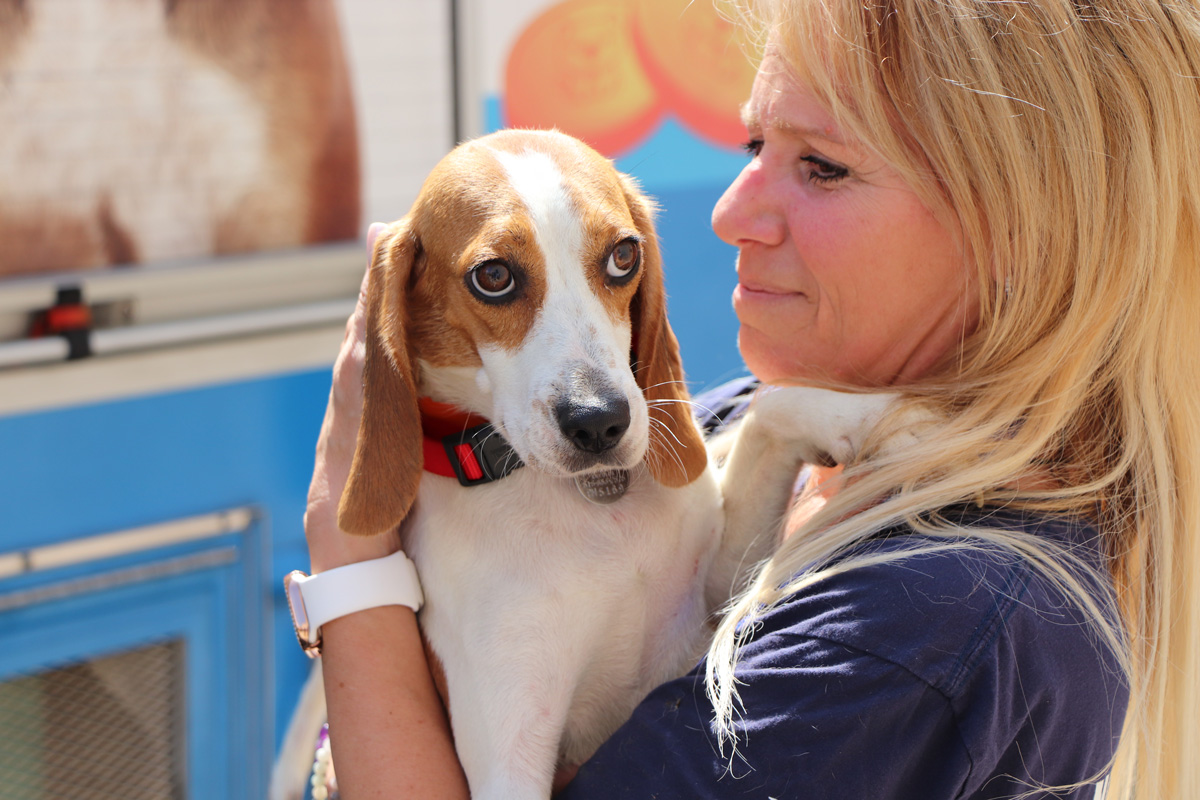 a woman holding a dog