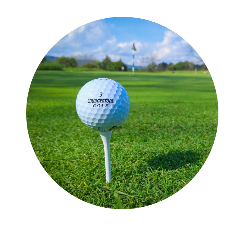 nsala_web_2023_cor_auction_golf