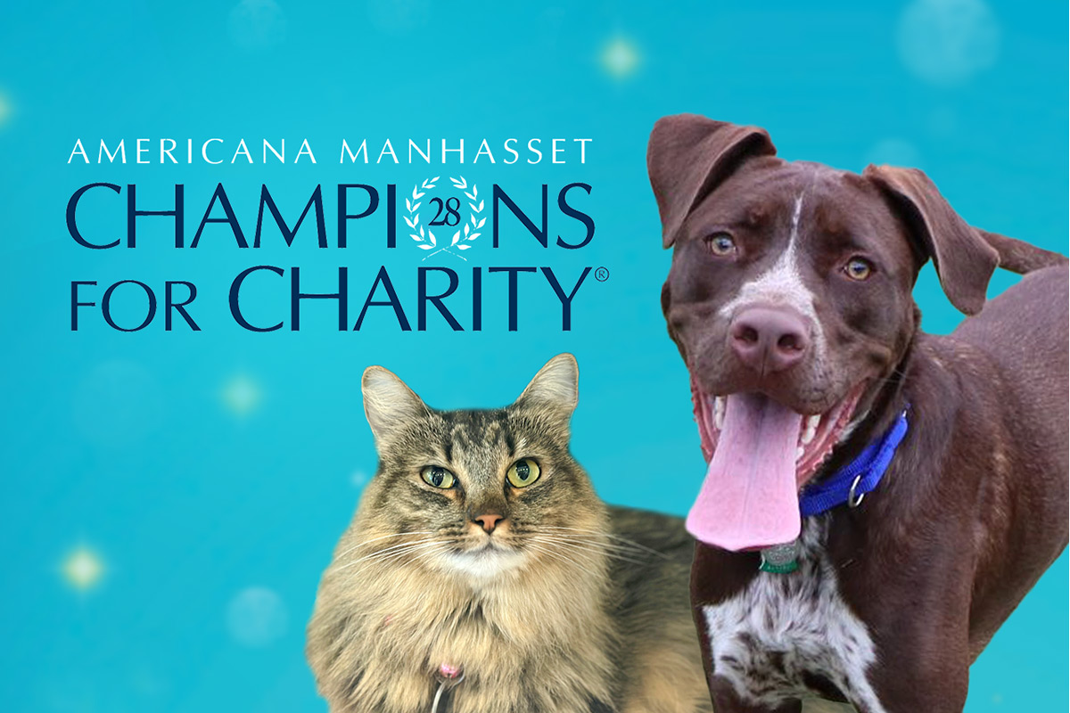 Champions for Charity at Americana Manhasset and Wheatley Plaza