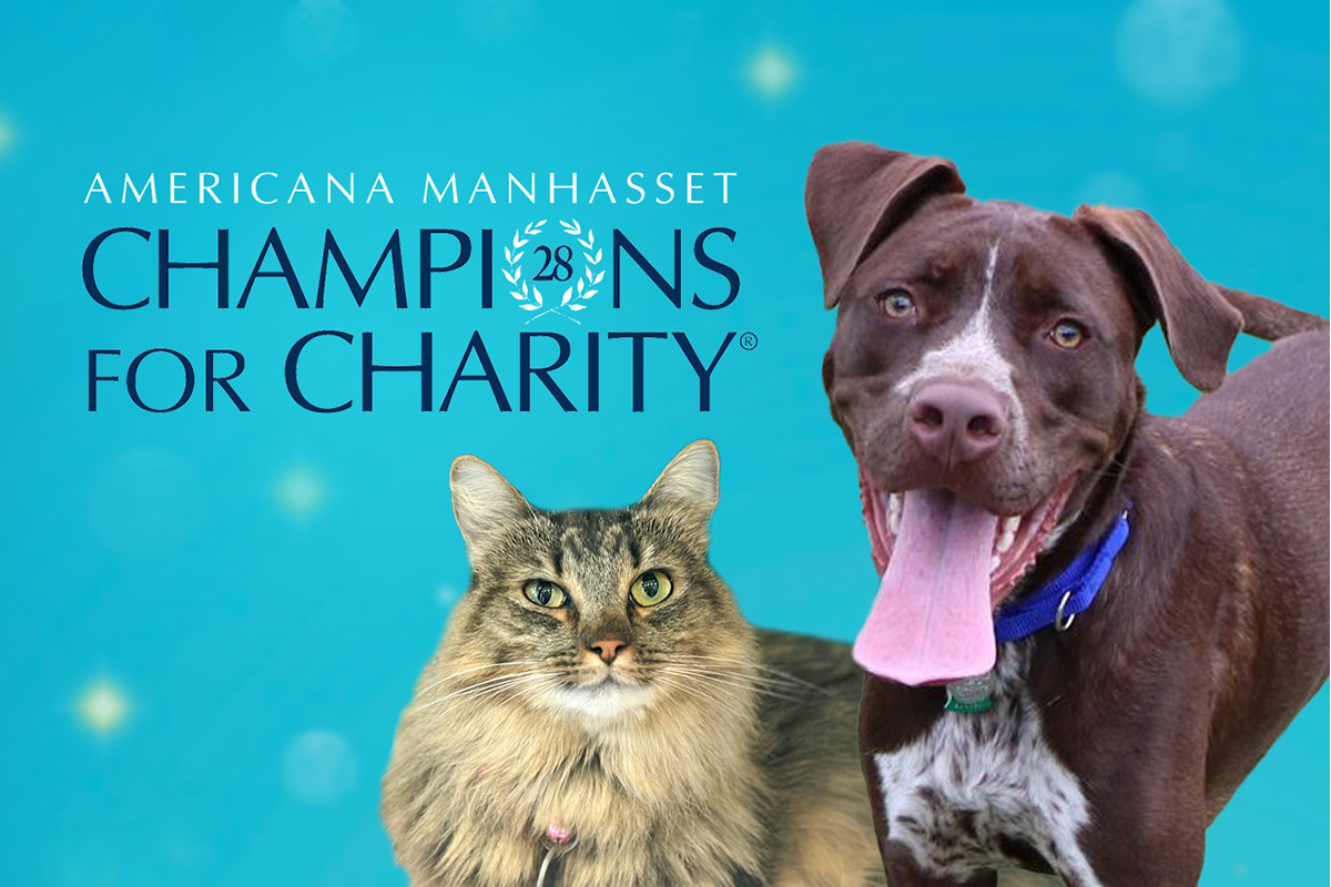 nsala_assets_champions_webfeature_2023_1200x800 Animal League
