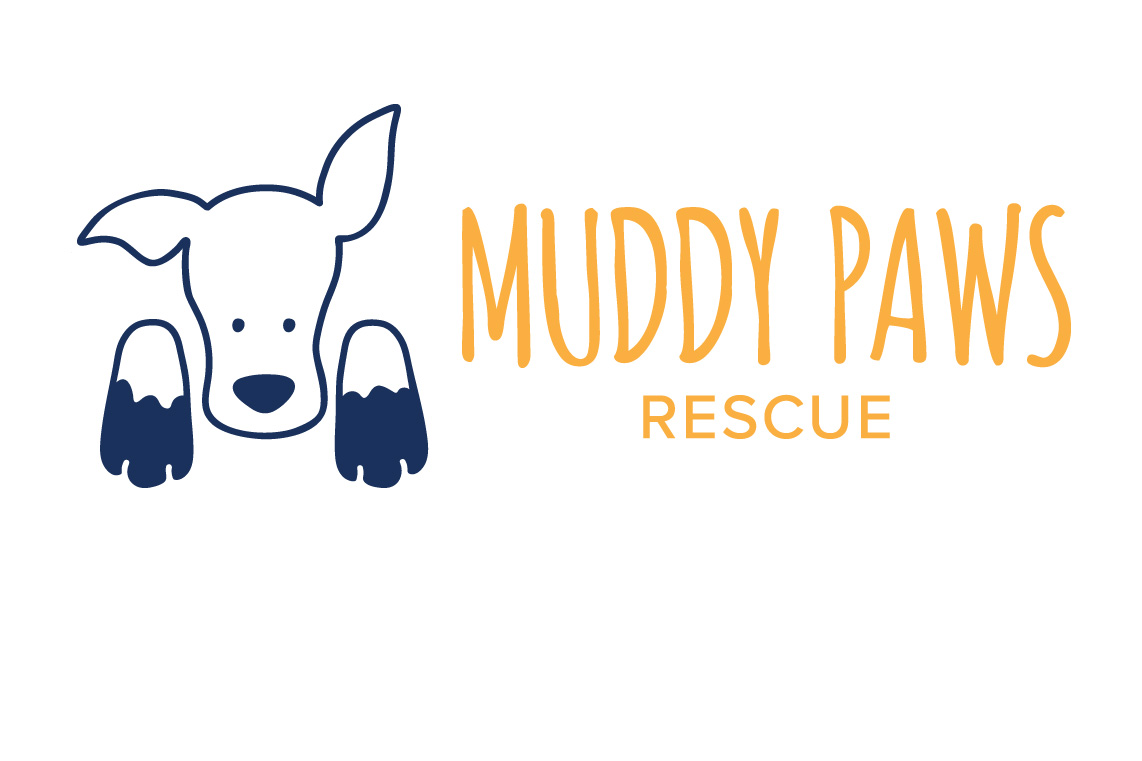 Paws adoption sales