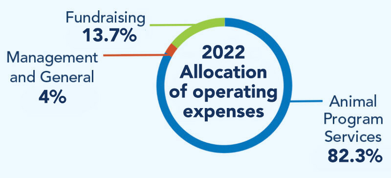 donorimpact_images_web_allocation_2023