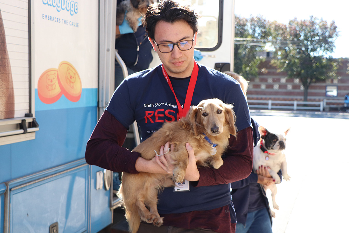 Hope and Homecoming for Commercial Breeder Rescues