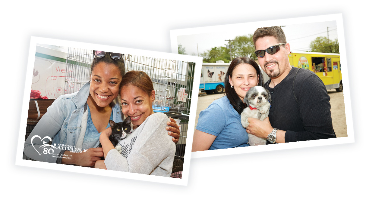 a collage of people holding a cat and a dog
