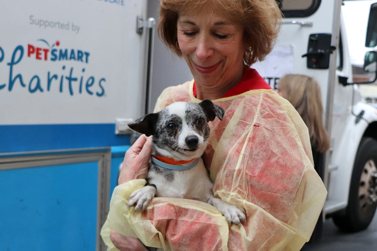 National puppy hotsell mill rescue
