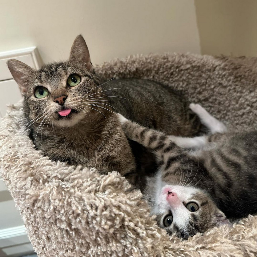 Momma Bleppy and Bobby B