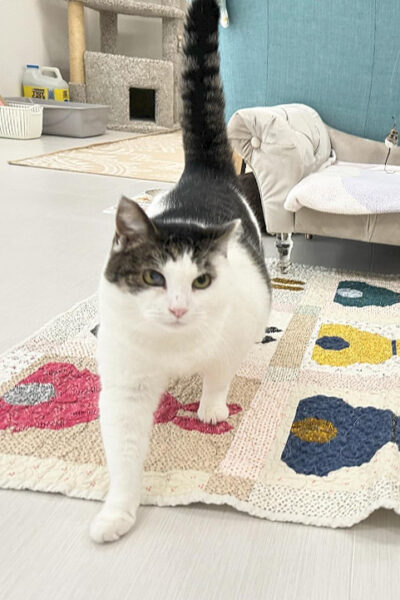 beths-blog-jan2024-miss-petunia