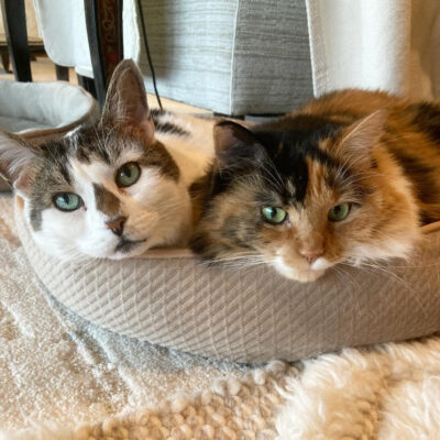 beths-blog-jan2024-walter-and-moosh Walter and The Moosh: Those eloquent eyes!!