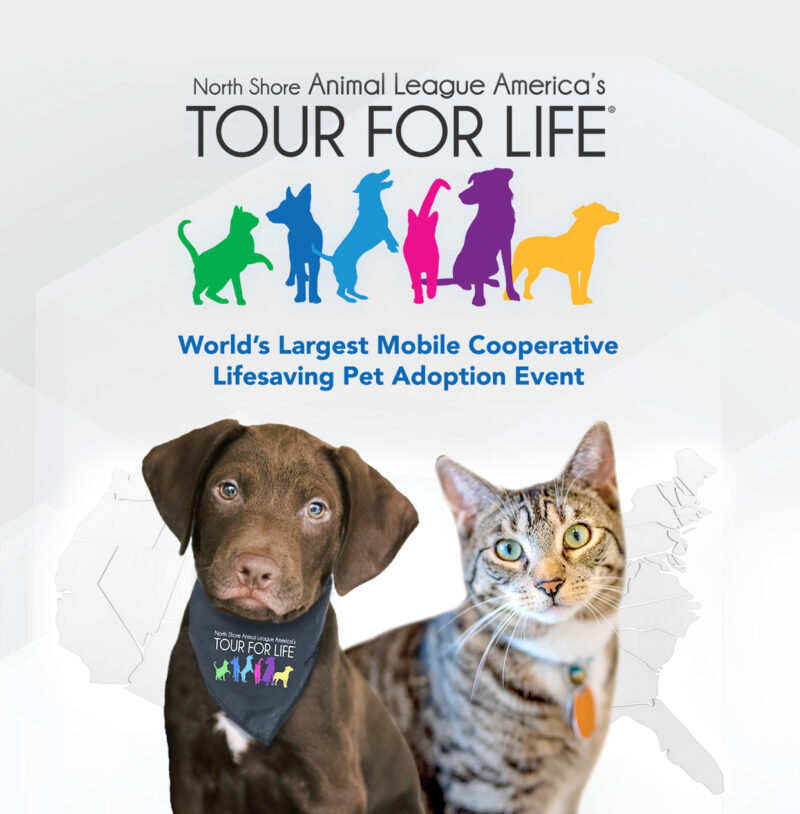 North shore animal league america animal league