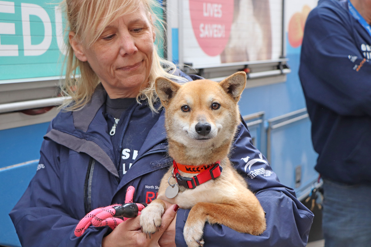 a woman holding a dog