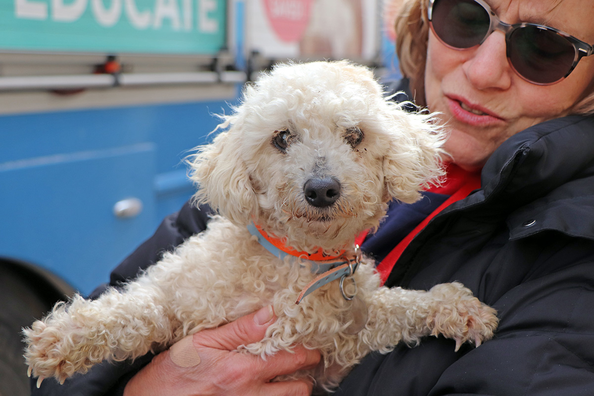 a woman holding a dog