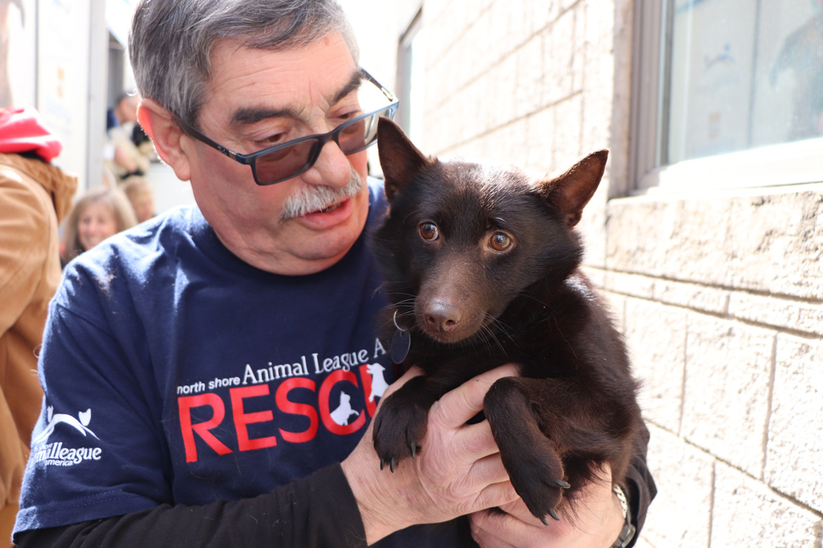 a man holding a dog
