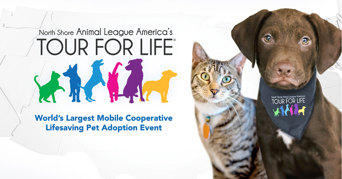Animal league hot sale