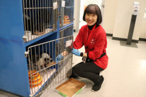 Volunteer Michiko Hashimoto