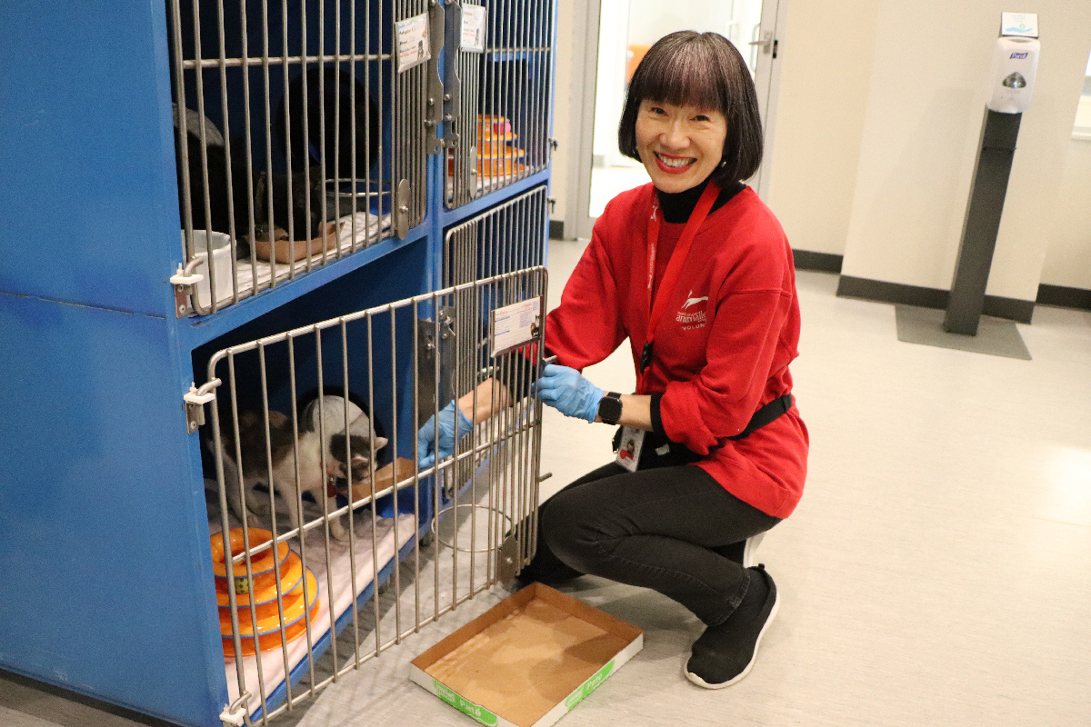 Volunteer Michiko Hashimoto