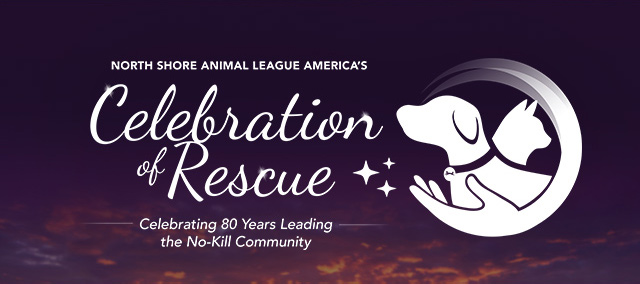 Celebration of Rescue