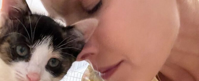 a close up of a woman's face with a cat