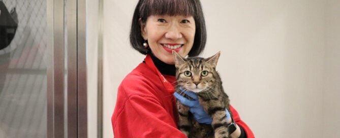 Michiko Hashimoto