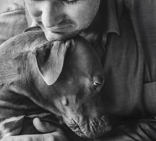 header-img-mobile-2024-puppact a man holding a dog