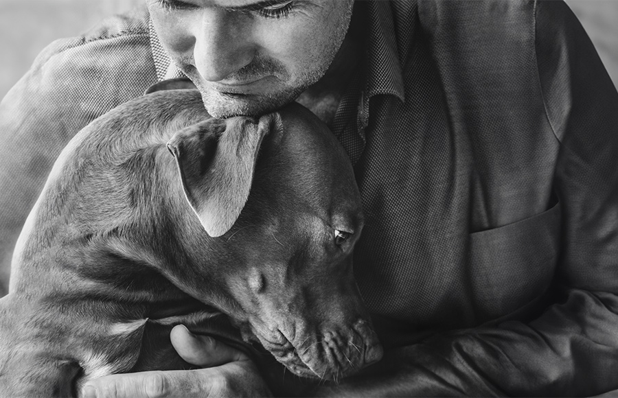 header-img-tablet-2024-puppact-thanks-1b