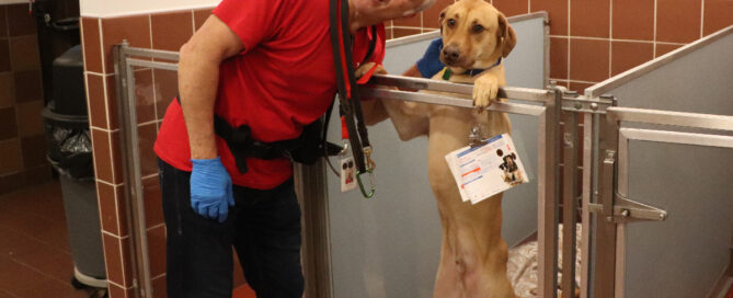 a man in a red shirt and blue gloves holding a dog