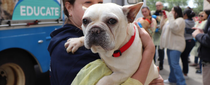a person holding a dog